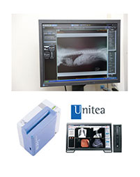 Unitea / REGIUS