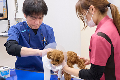 整形外科・循環器科を 中心とした専門性の高いチーム医療
