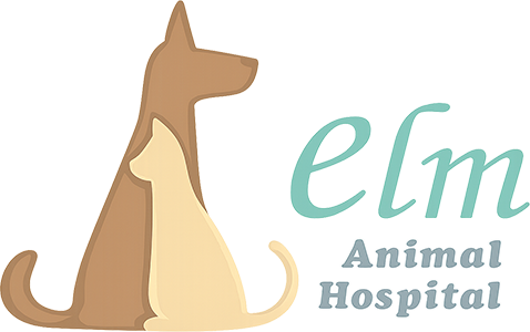 ELM Animal Hospital