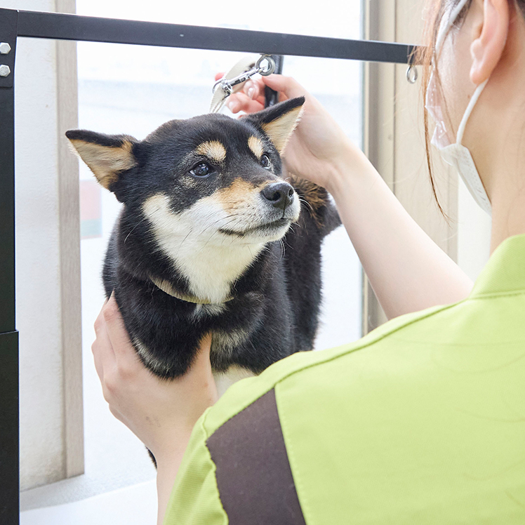 診療コンセプト