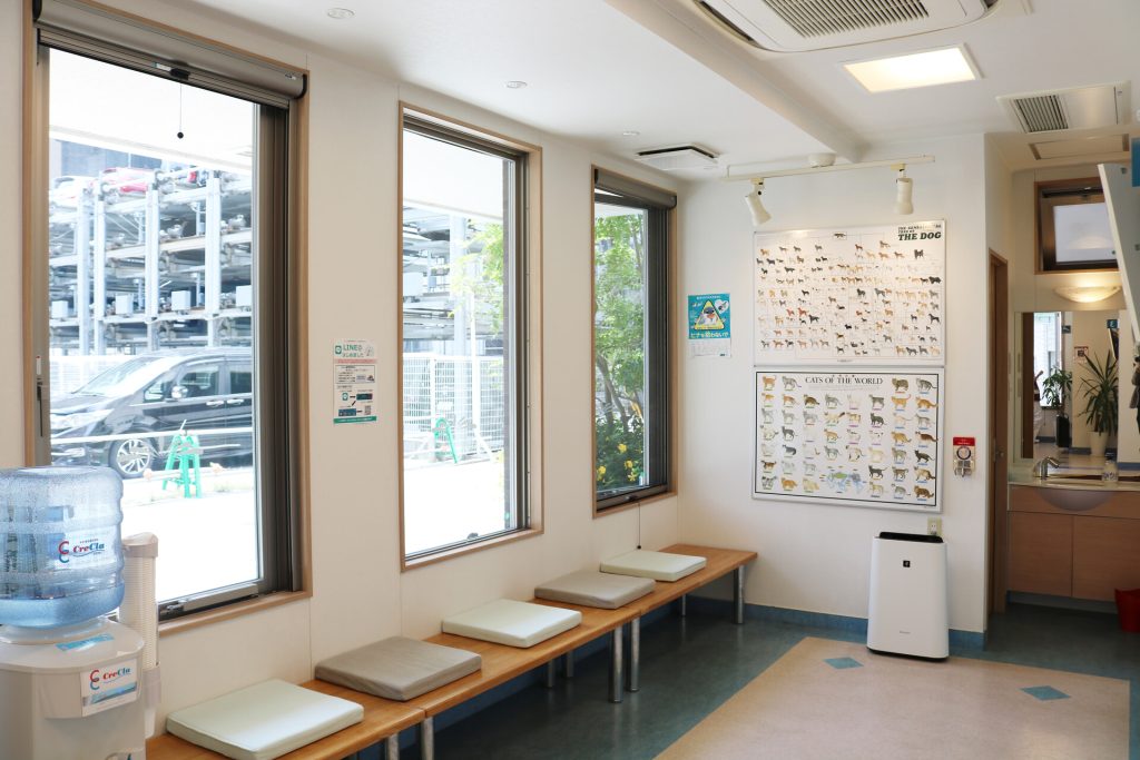 普段から、大切なペットの様子を注意深く観察するようにしましょう