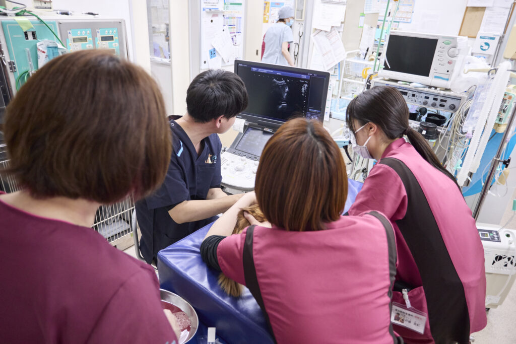 他院との違いはどこにありますか？