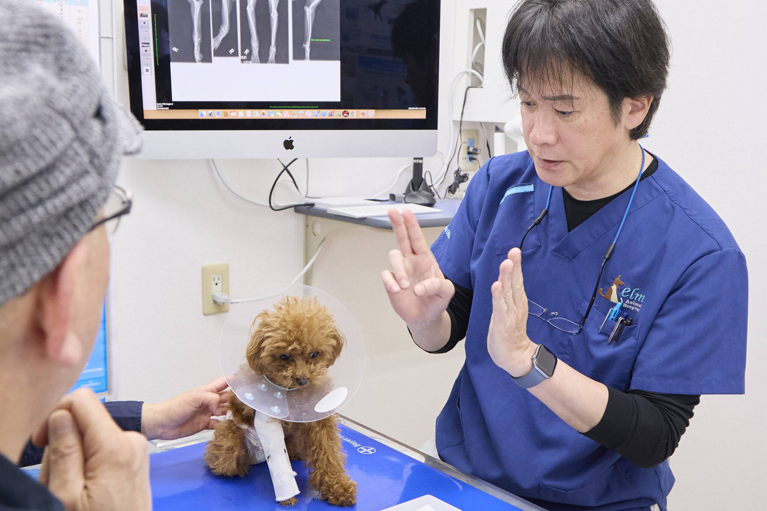 飼い主さまへの説明で心がけていることは何ですか？