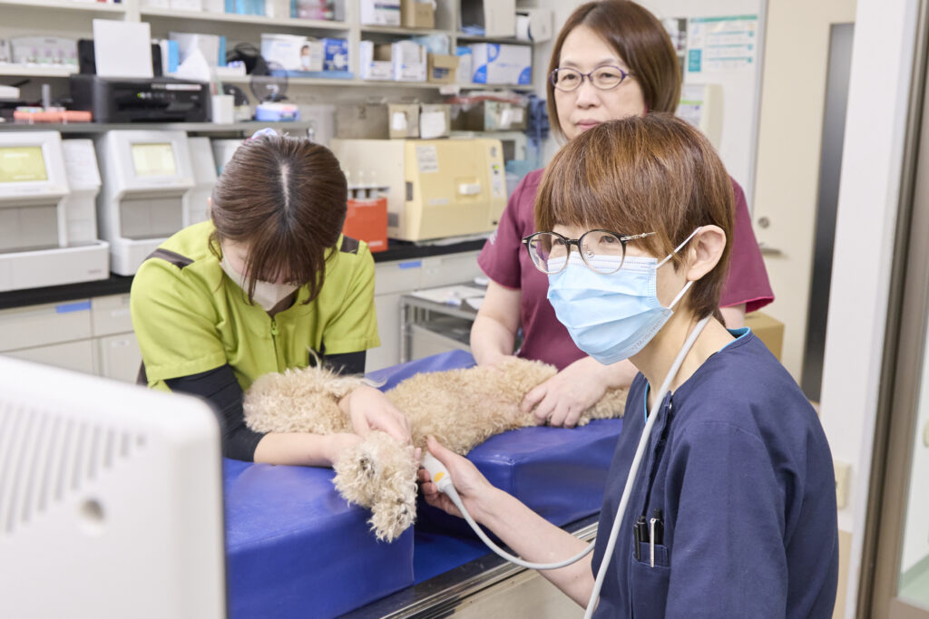 reason04予防から高度治療まで、長く寄り添える地域の動物病院